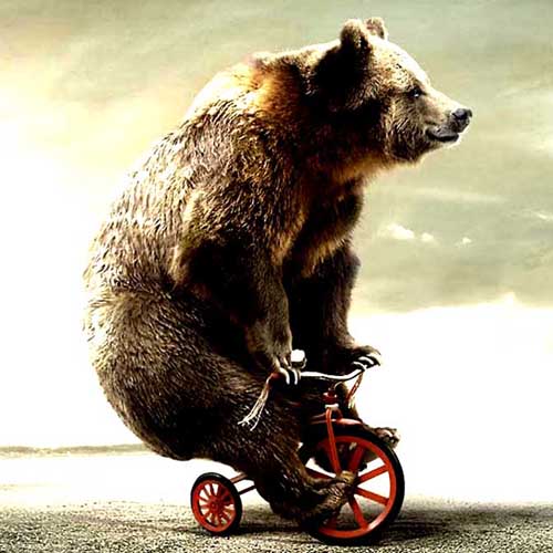 Avatar de l’utilisateur