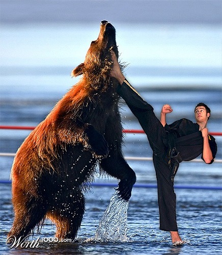 Avatar de l’utilisateur